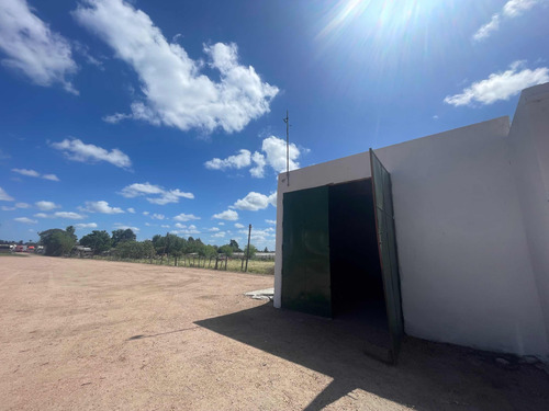 Galpón En Alquiler Para Fines Rurales Paso De La Arena