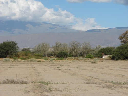 Finca De 5.5 Hectáreas Con Casa De Adobe En Catamarca