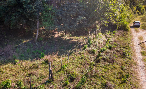 Terreno En Venta Castellanos 4124 M2