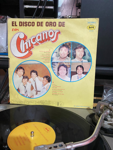 El Disco De Oro De Los Chicanos - Lp (Usado)