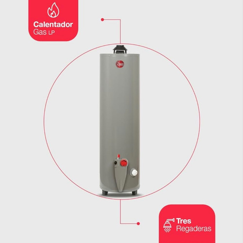 Calentador De Agua Rheem Gris Oscuro Glp