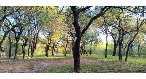 Imagen 4 de 7 de Venta. Terreno 2860 Mts Villa Warcalde. Apto Duplex (subdividible En Ph De 450 Mts)