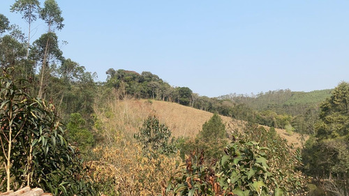 Imagem 13 de 14 de B1 Terreno Com Visão Ampla Para A Natureza Arvores Frutífera