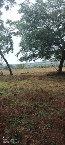 Imagem 2 de 13 de Fazenda Município De Comendador Gomes