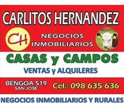 Impecable Apartamento De 4 Dormitorios Y 2 Baños Para Venta En San José A Metros De La Terminal De Omnibus. Posible Financiasion