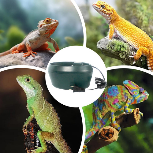 Fuente Para Beber Reptiles Plato De Agua Para Lagartos Fuent