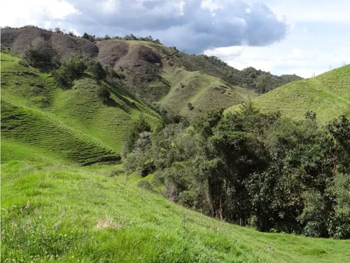 Finca En Venta La Unión Via Abejorral Antioquia. 83 Hectareas