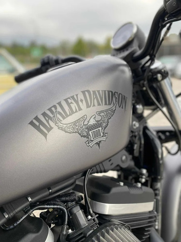 Imagen 10 de 15 de Harley Davidson Iron 883