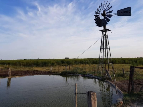 Imagen 8 de 8 de Vendo 90 Hectáreas Campo, Oportunidad