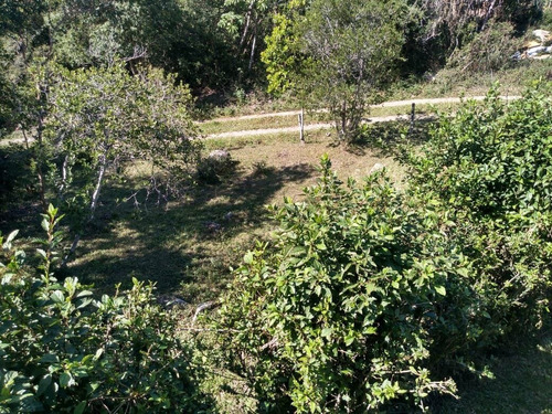 Imagem 3 de 16 de Casa Alto Padrão Para Venda Em Praia Da Silveira Garopaba-sc - Kv665