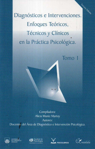 Diagnosticos E Intervenciones Enfoques Teoricos Tomo 1 