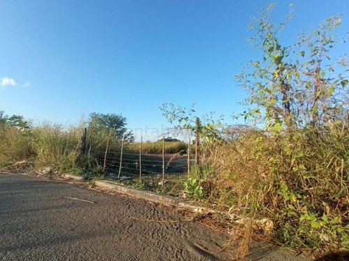 Imagen 14 de 14 de Leida Falcon Rentahouse Vende Terreno En Castillito San Diego 22-6714 Lf
