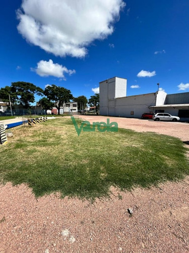 Imagen 23 de 25 de Venta Local Comercial Nuevo Paris, Zona Para Logística!! - Montevideo Nuevo Paris