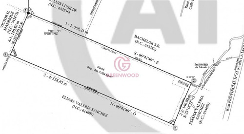 Imagen 10 de 19 de Greenwood Vende Hermosa Finca Con Viñedos, Casa, Galpon Y Pozo Para Riego