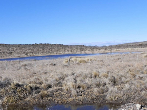 Imagen 9 de 15 de Venta Campo Productivo En La Pre-cordillera De 10623 Hectareas Cria De Ganado