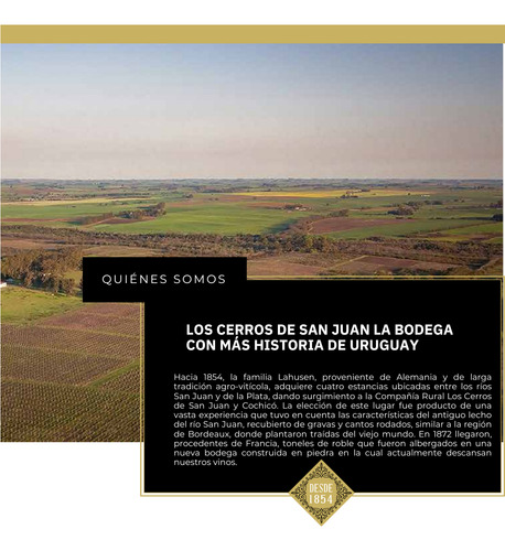 Vino Uruguay De La Colonia - Tempranillo - Merlot