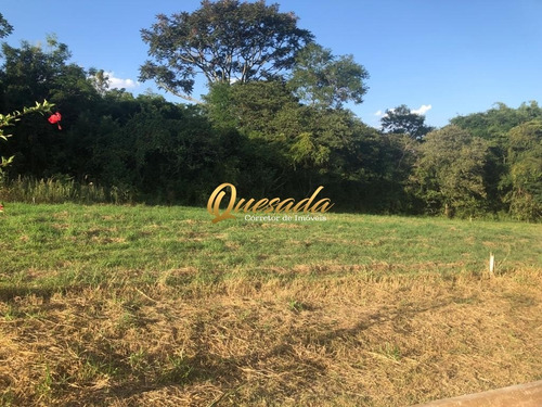 Imagem 6 de 28 de Terreno - Te00465 - 70673517