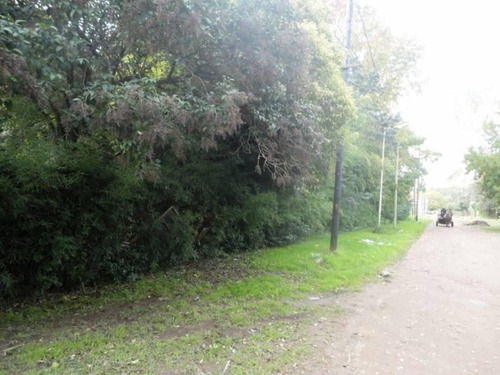 Imagen 4 de 4 de Terreno En Venta En Muñiz