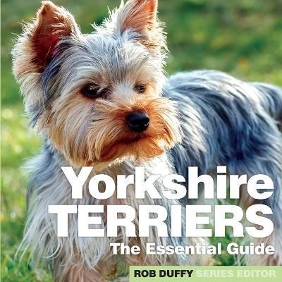 Libro Yorkshire Terriers : The Essential Guide - Robert D...