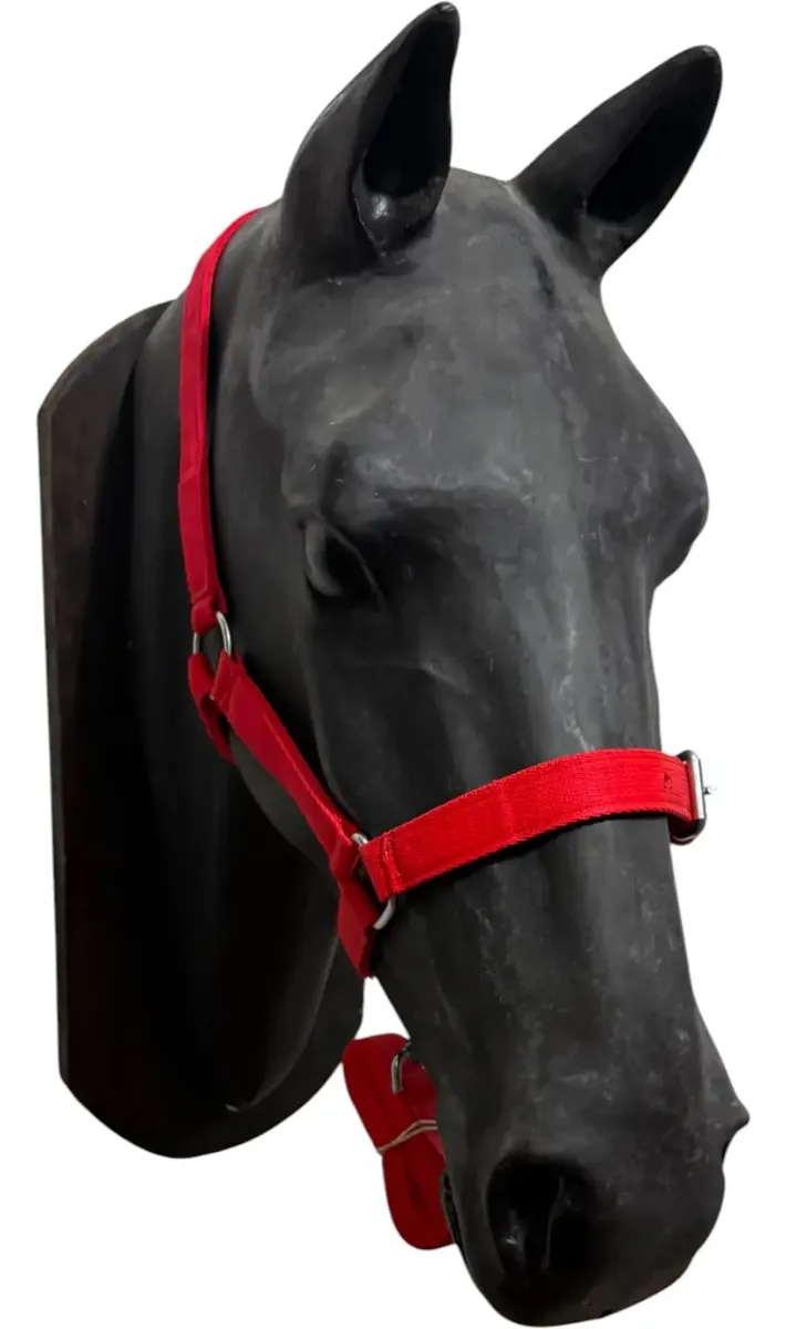 Bozal De Nylon Para Potro Caballo Joven Con Galón Mosquetón Rojo - Imagen 3