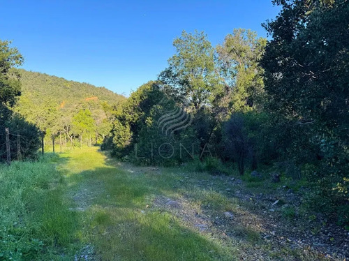 ¡oportunidad! Parcela Semiplana De 5.000 M2 Con Rol Propio