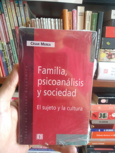 Libro Familia Psicoanálisis Y Sociedad