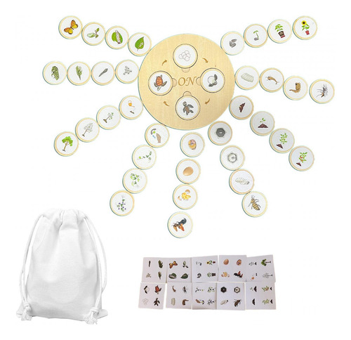 Life Growth Cycle Puzzle Board Develop Imagination Teaching