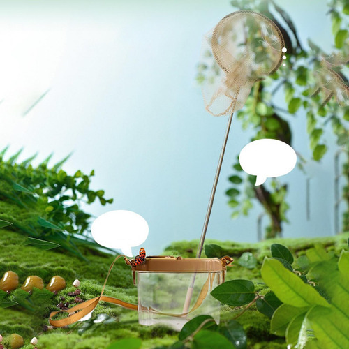 Kit De Atrapa Insectos Con Caja De Observación De Lupa