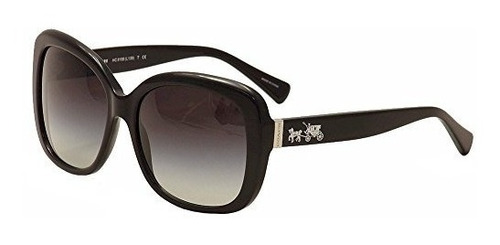 Entrenador Mujeres Hc8158 Gafas De Sol 58mm