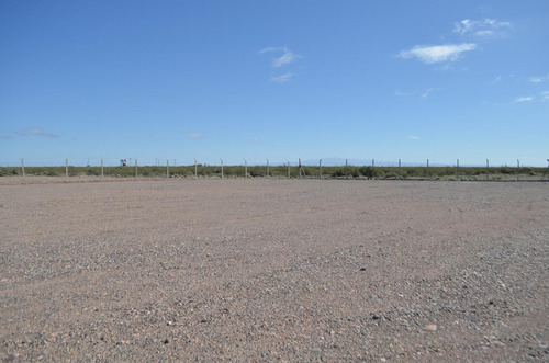 Imagen 3 de 6 de Lote 4053 M2 En Añelo, Vaca Muerta