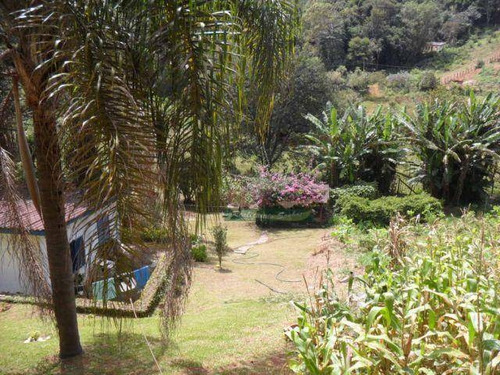 Imagem 13 de 30 de Chácara Com 2 Casas À Venda, 4000 M² Por R$ 550.000 - Zona Rural - Santo Antônio Do Pinhal/sp - Ch0095