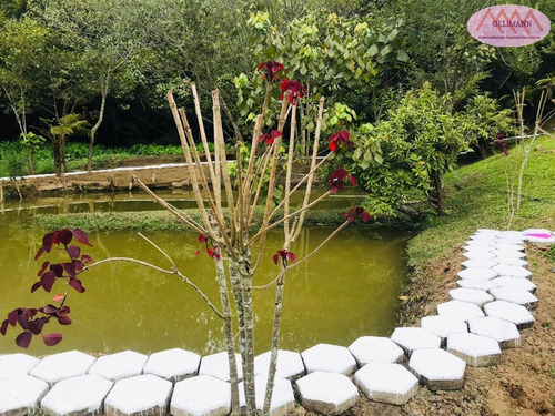 Imagem 10 de 15 de Chácara Para Venda Em Suzano, Chácaras Bonanza - 0756_2021_2-1133658