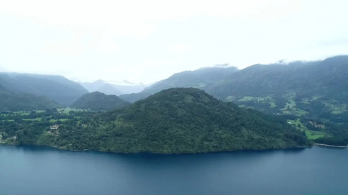 Remate - Futrono/lago Ranco - 60 Hectáreas