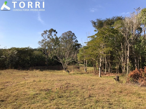 Imagem 7 de 15 de Chácara Em Itapetininga - Ch00263 - 68204863