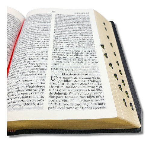 Biblia Rv1909/1979 El Maravilloso Plan De Dios Negro 8pt, De Reina Valera 1909. Editorial Stampley, Tapa Blanda En Español