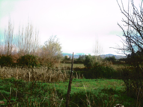 Propiedad Agrícola De Riego Con Derechos De Aguas Río Ñuble