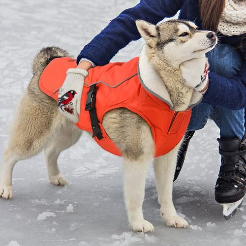 Chaqueta De Invierno Para Perros Emust, A Prueba De Vient...