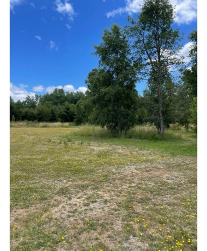 Venta / 2 Parcelas Molco - Una Con Casa / Ambas O Separadas