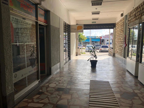 Local En Gran Punto En Colón