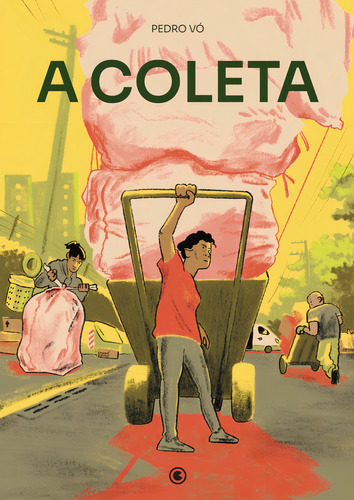 A Coleta, De Vo, Pedro. Editora Conrad, Capa Mole Em Português