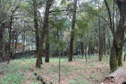 Imagen 2 de 5 de Terreno Con Acceso Inmediato Desde La Carretera Federal