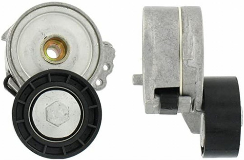 Tensor Correa Poly V Citroen Berlingo Xsara  Picasso 1.9 Die