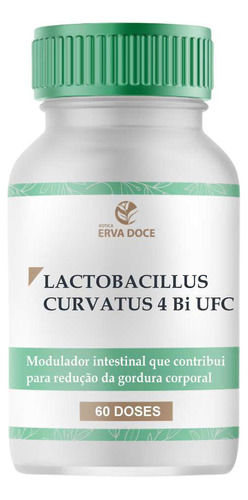 Lactobacillus Curvatus 4 Bilhões Ufc 60 Capsulas