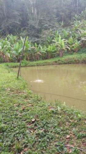 Imagem 8 de 17 de Chácara Com Riacho, Pomares De Arvores Frutíferas E Pés De Banana E Com Com 171.500 M² De Área Total, Em Miracatu Ref: 8564/ac