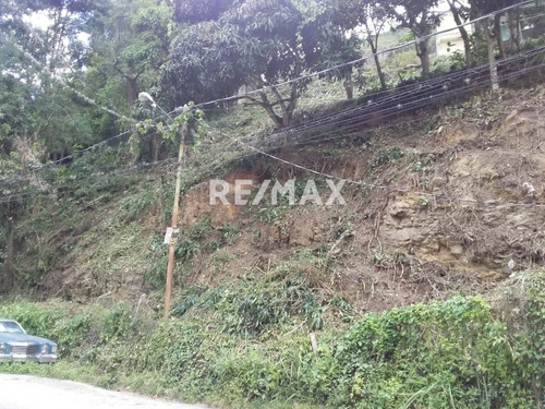 Imagen 3 de 8 de En Venta Terreno En El Sector Figueroa.