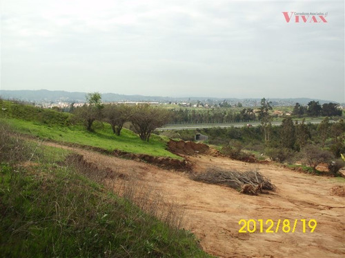 Imagen 4 de 7 de Sitio En Venta En Villa Alemana