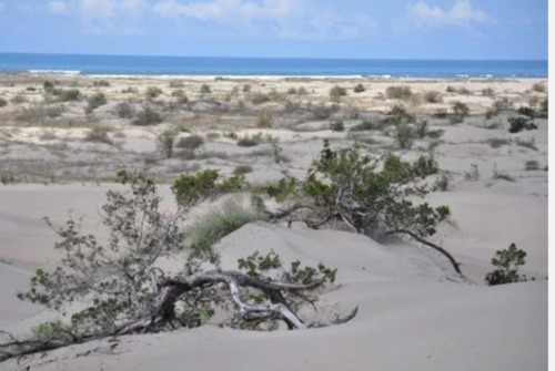 Sinaloa Isla De Tachichitle Terreno Venta Angostura