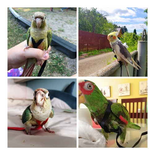 T Arnés Para Pájaros Papagaio Trela Ajustable Antimordida