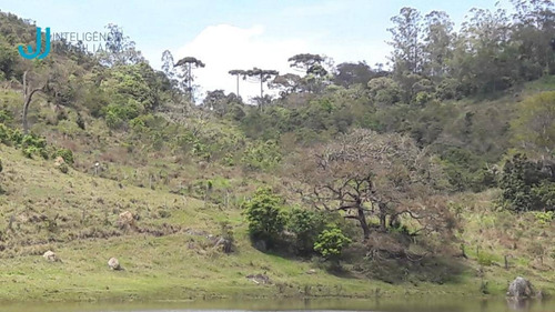 Imagem 9 de 30 de Chácara À Venda, 250000 M² Por R$ 1.199.000,00 - Botuquera - Guararema/sp - Ch0003
