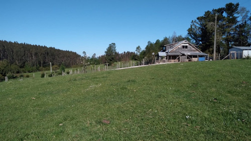 Purranque  Predio Agrícola Riachuelo